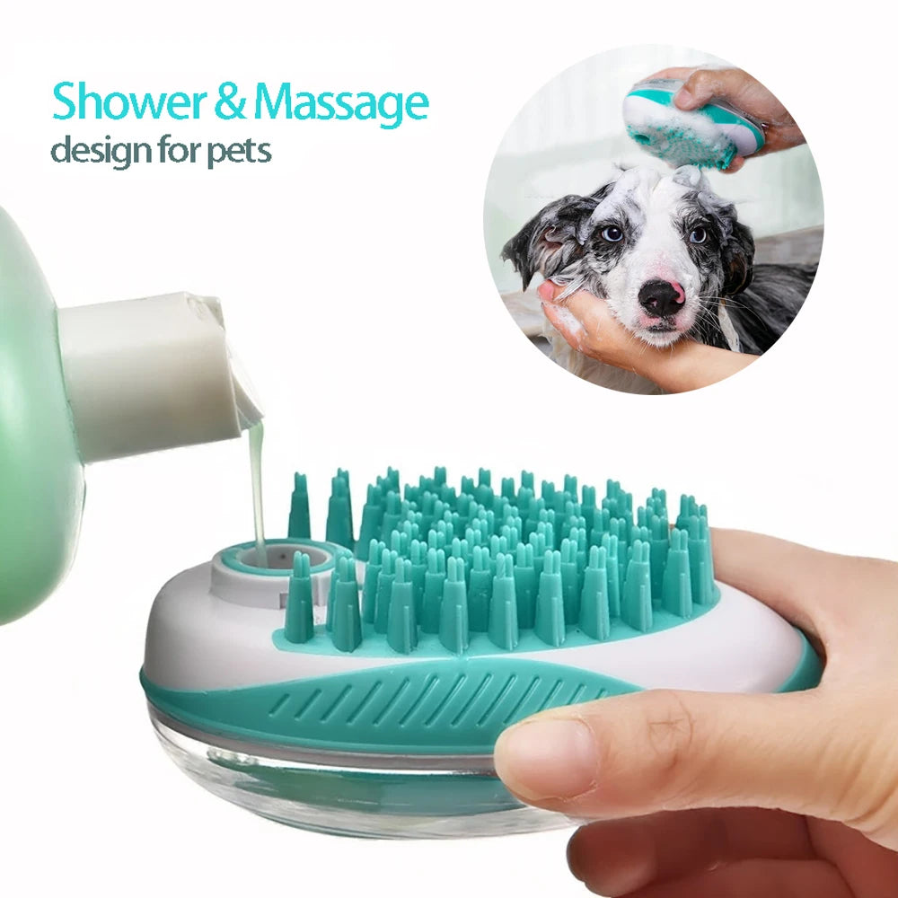 Bade & Massagebürste