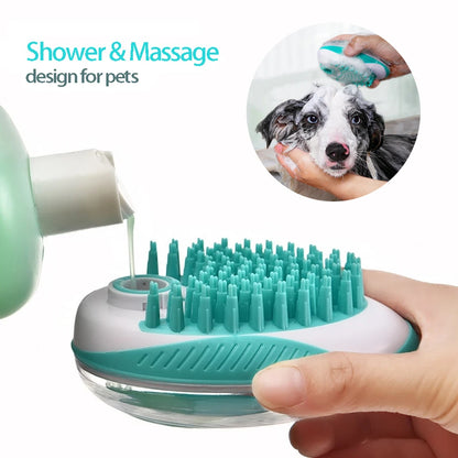 Bade & Massagebürste